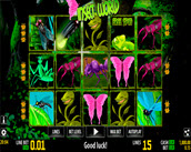 insect world