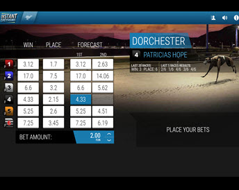 instant greyhound races