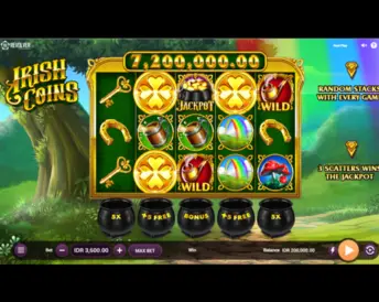 Irish Coins (568win)