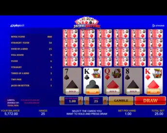 Jacks or Better Multi-Hand 25