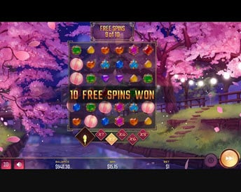 jewel race sakura