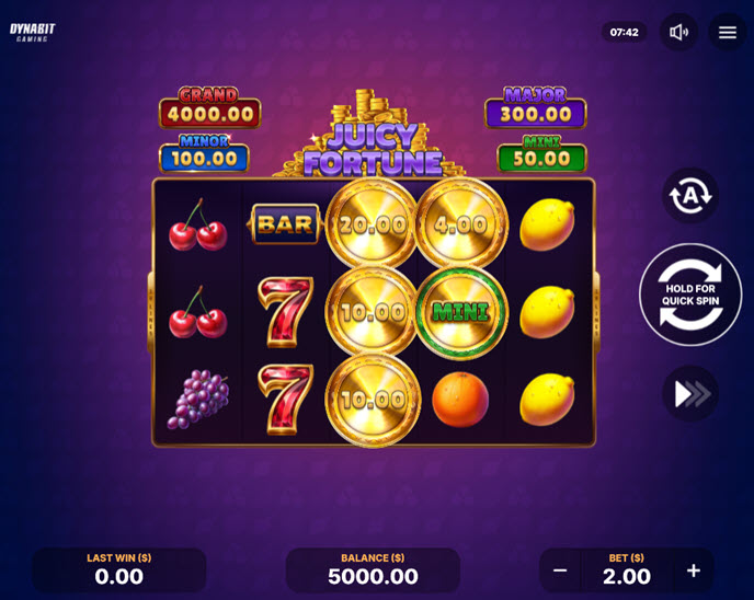 juicy fortune: hold and win