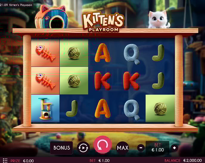 kitten’s playroom