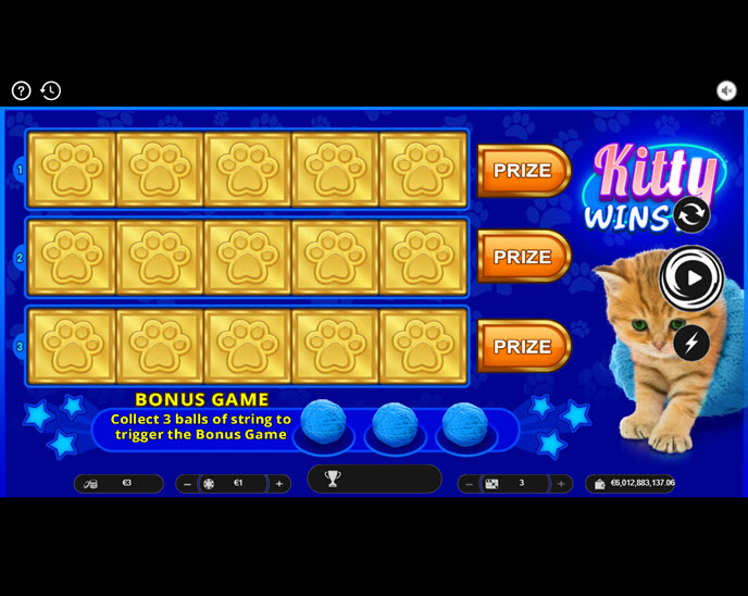 kitty wins
