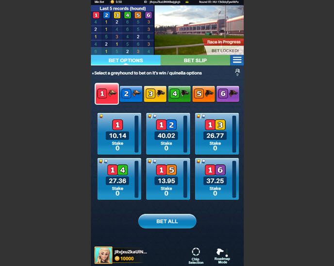 km virtual greyhound racing