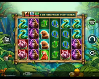 Kong Wonder Wilds