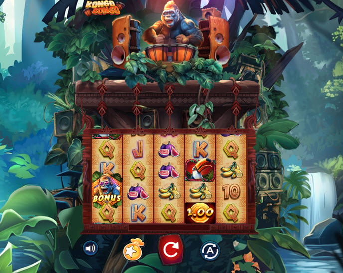 kongo bongo
