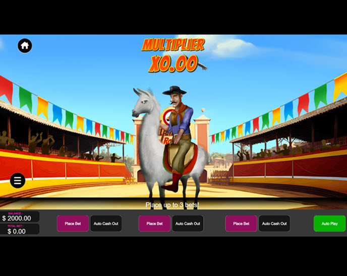 llama rodeo
