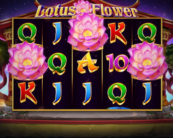 lotus flower