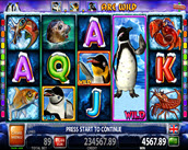lucky 3 penguins