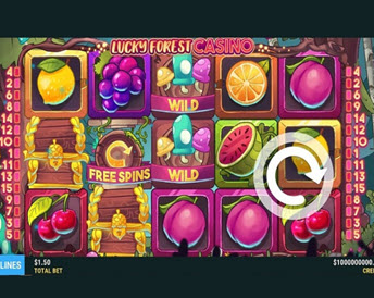 lucky forest casino