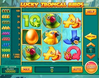 lucky tropical birds (3×3)