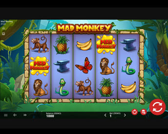 Mad Monkey (Barbara Bang)