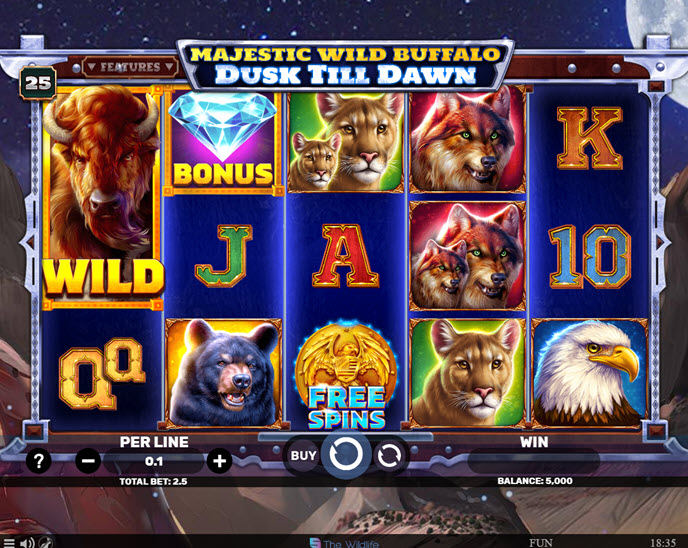 majestic wild buffalo – dusk till dawn