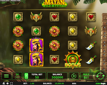 mayan wild mystery