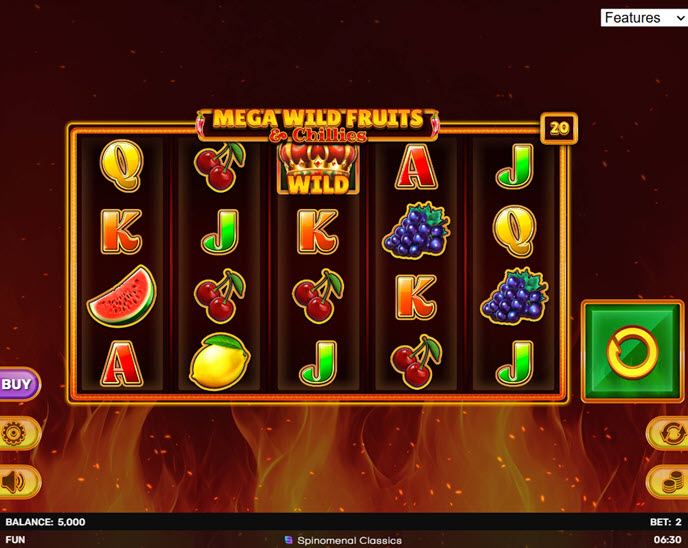 mega wild fruits & chillies