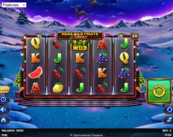 Mega Wild Fruits – Xmas