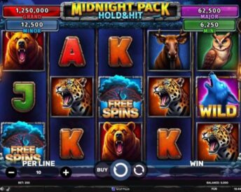 Midnight Pack - Hold & Hit
