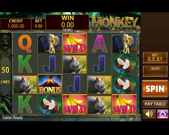 monkey