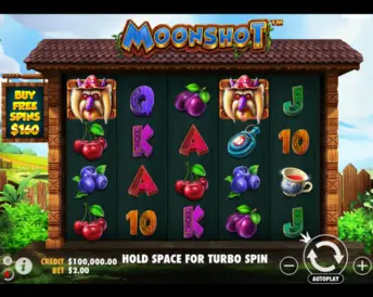 Moonshot