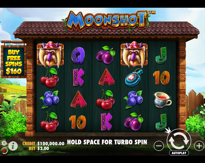 moonshot