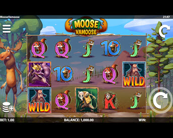 moose vamoose