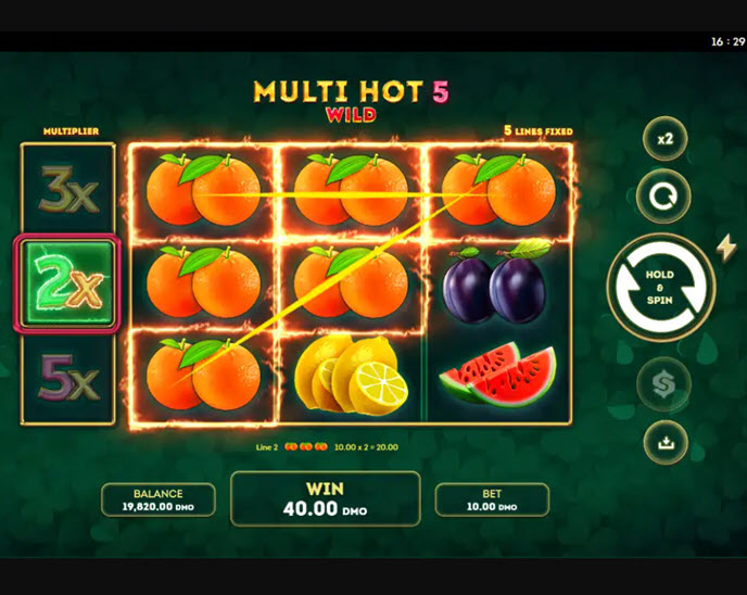 multi hot 5 wild