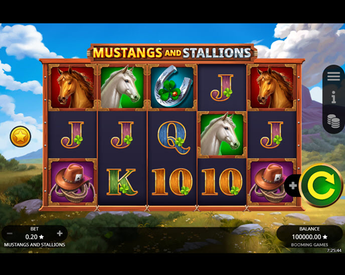 mustang and stallions