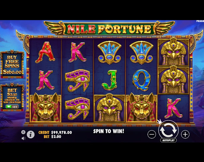 nile fortunes