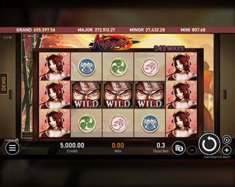 ninja (royal slot gaming)