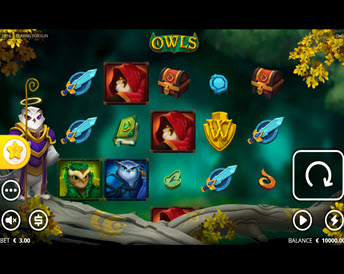 owls