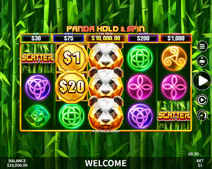 panda hold & spin