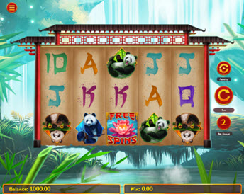 pandas go wild