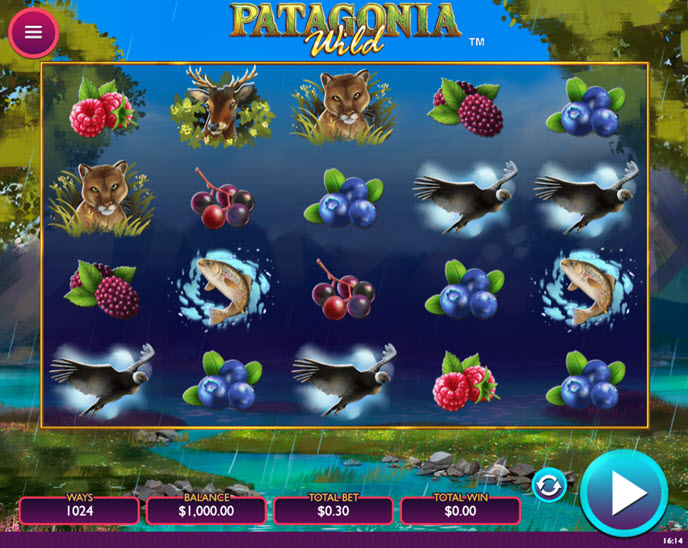 patagonia wild