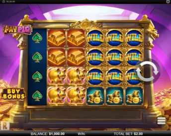 Pay Pig