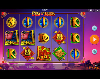 pig of luck