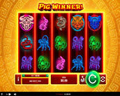 pig winner