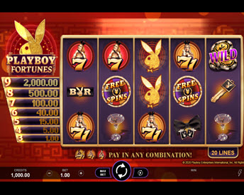 playboy fortunes