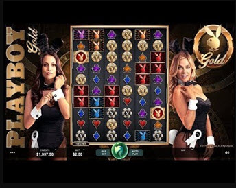 playboy gold
