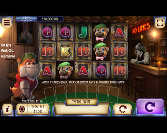 poker dog