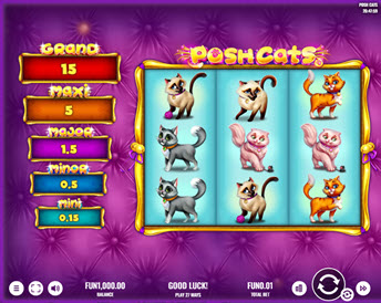 posh cats