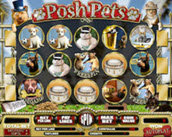 posh pets