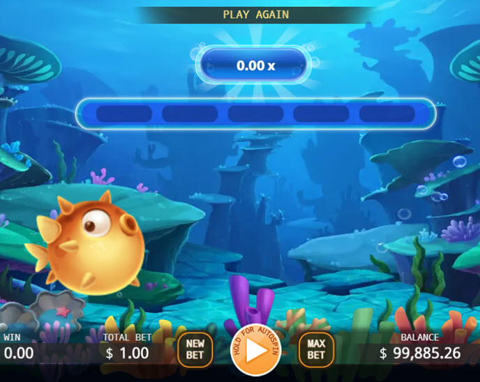puffer swimming