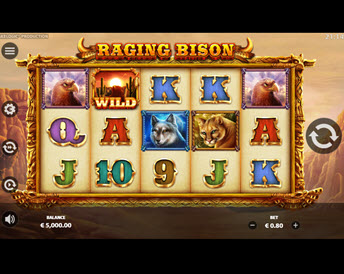 raging bison