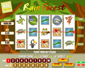 rain forest
