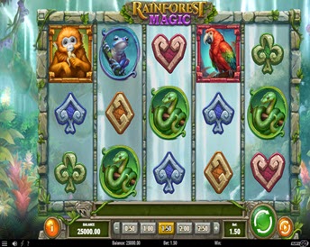 rainforest magic