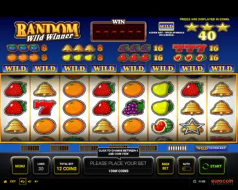 Random Wild Winner