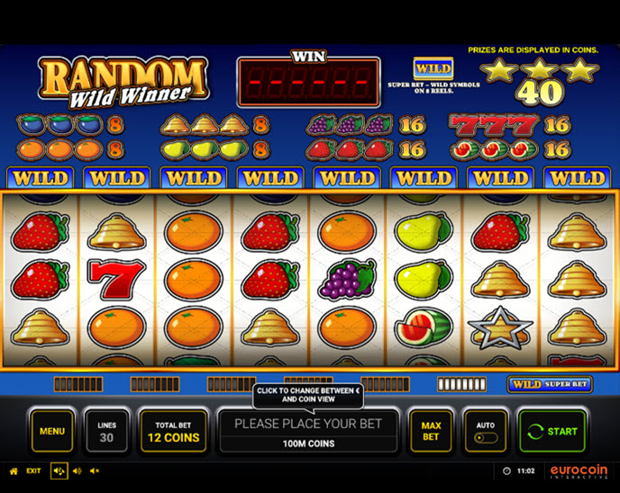 random wild winner