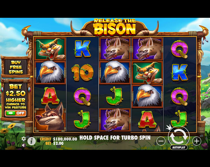 release the bison