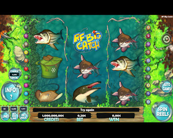 rf big catch